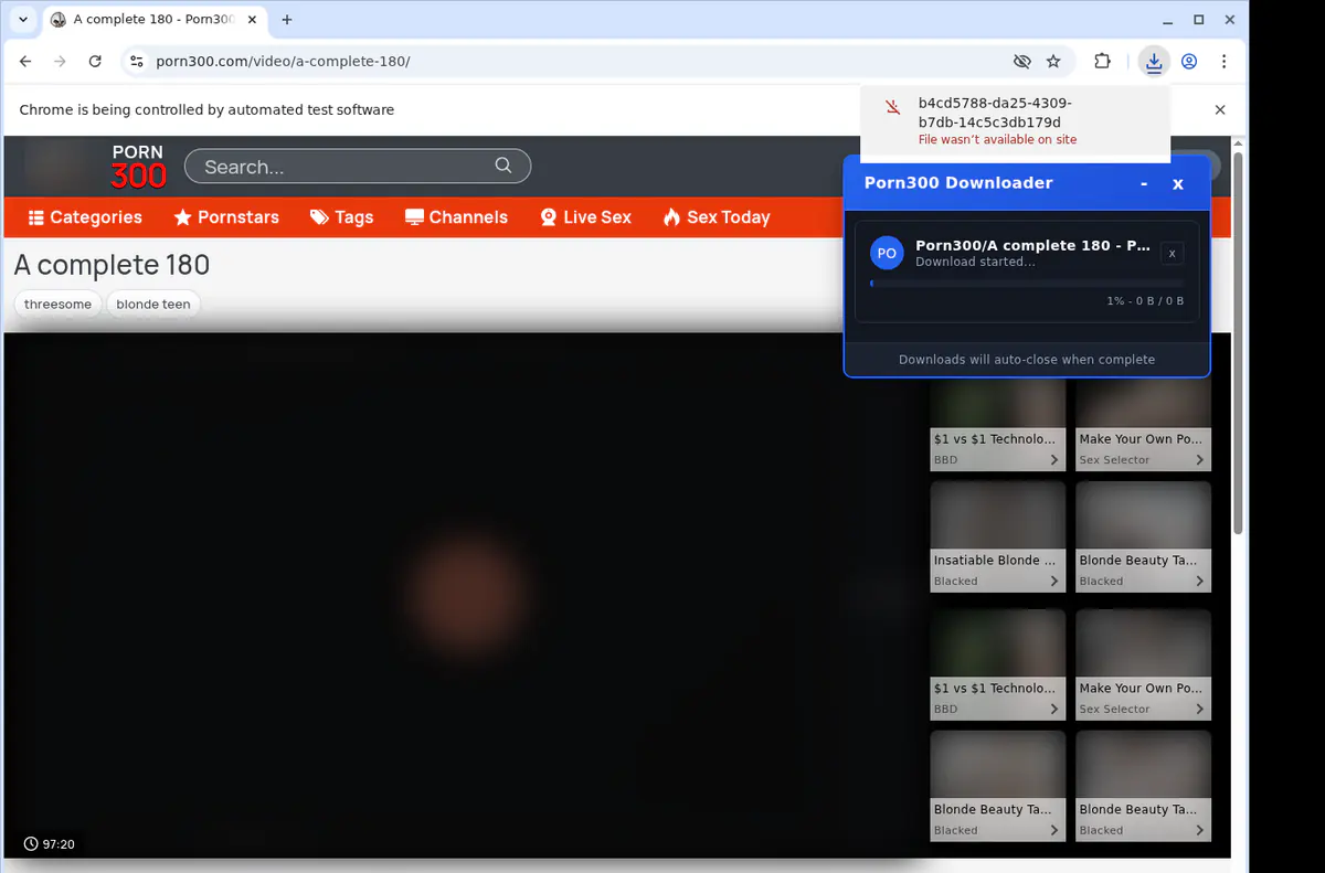 Porn 300 Video Downloader screenshot 2