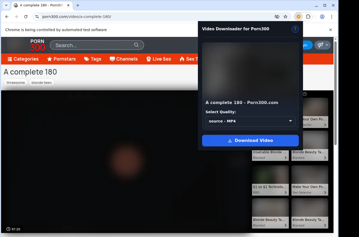 Porn 300 Video Downloader screenshot 3